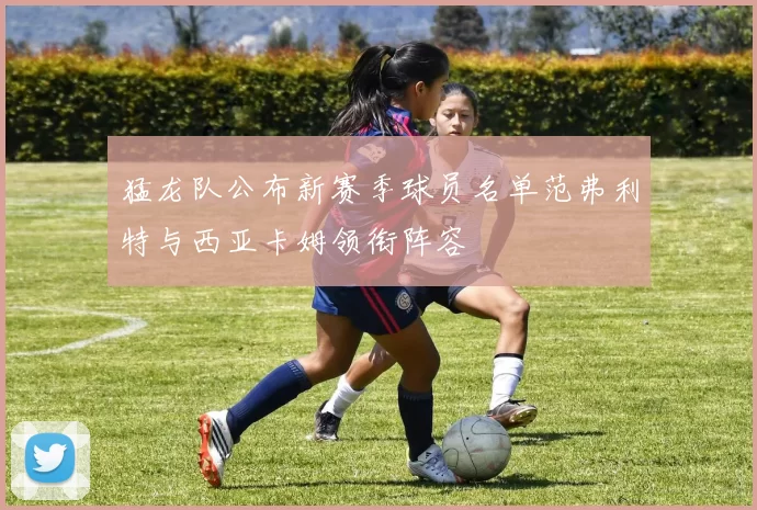 猛龙队公布新赛季球员名单范弗利特与西亚卡姆领衔阵容