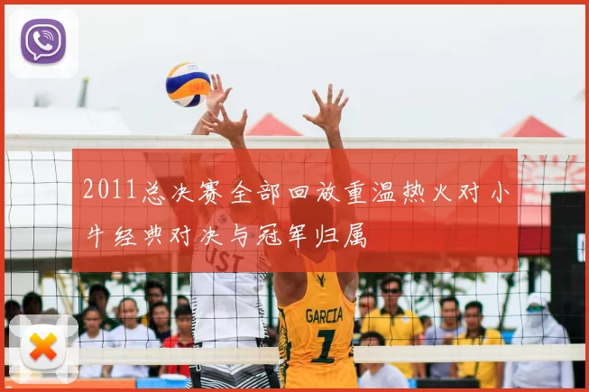 2011总决赛全部回放重温热火对小牛经典对决与冠军归属