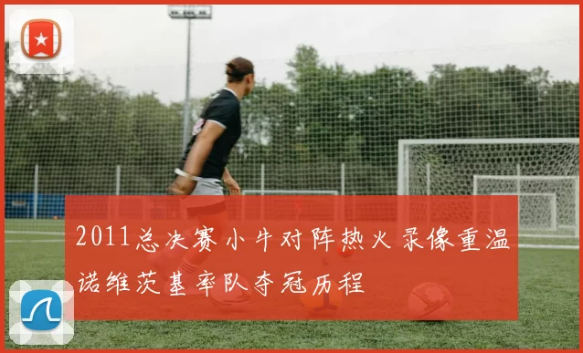 2011总决赛小牛对阵热火录像重温诺维茨基率队夺冠历程