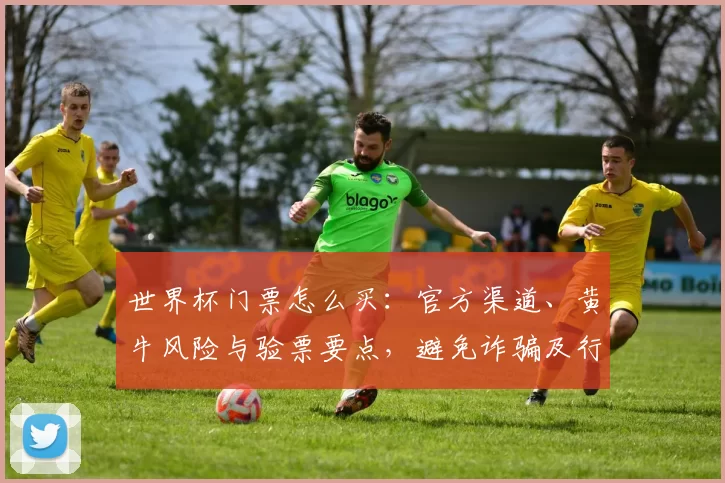 世界杯门票怎么买：官方渠道、黄牛风险与验票要点，避免诈骗及行程影响