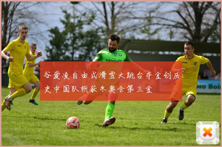 谷爱凌自由式滑雪大跳台夺金创历史中国队斩获冬奥会第三金