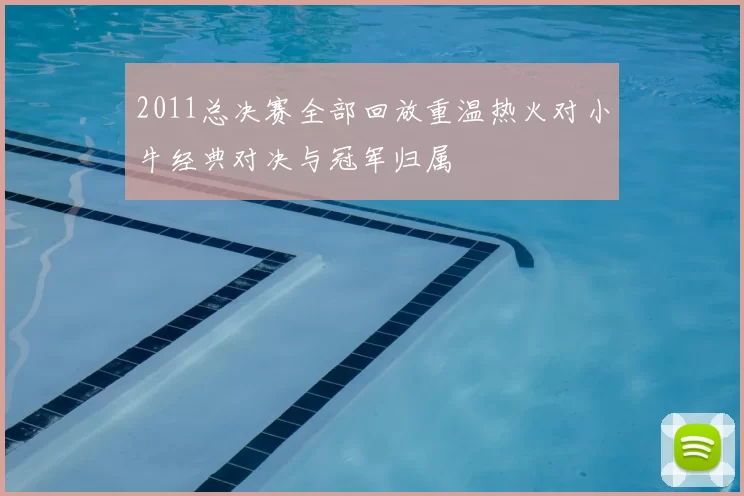 2011总决赛全部回放重温热火对小牛经典对决与冠军归属