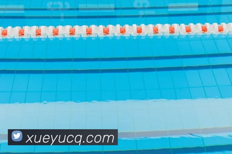 乐竞体育·乐竞官方网站 - 乐竞体育(中国)平台生态图